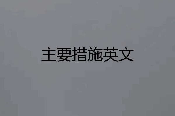 主要措施英文