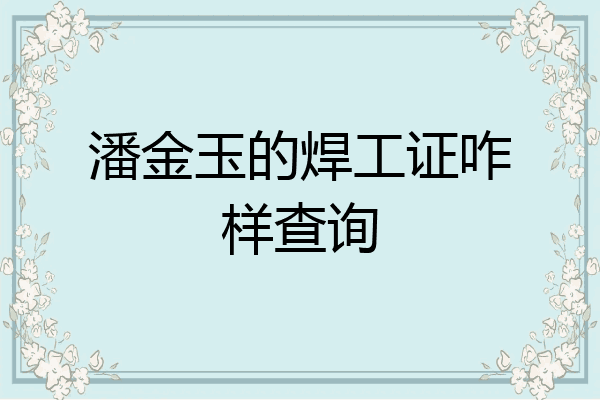 潘金玉的焊工证咋样查询