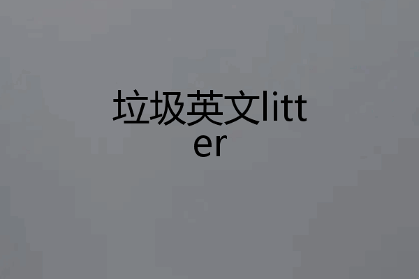 垃圾英文litter