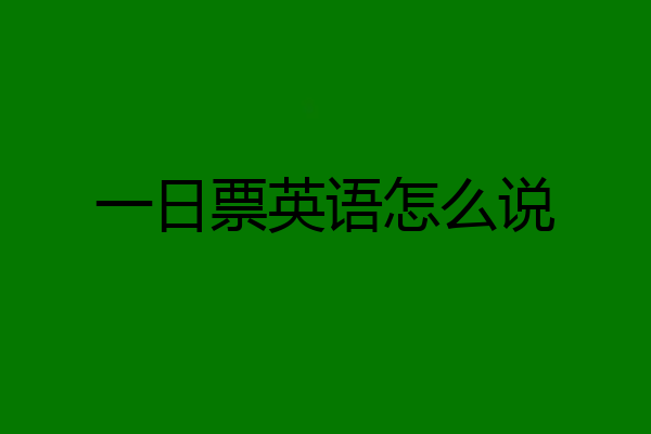 一日票英语怎么说