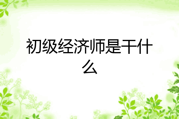 初级经济师是干什么