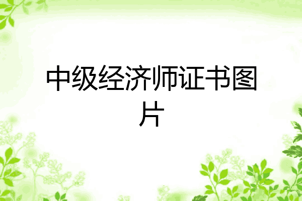 中级经济师证书图片