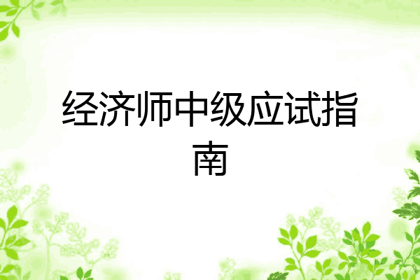 经济师中级应试指南