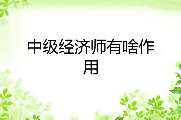 中级经济师有啥作用