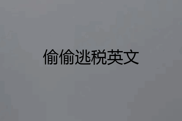 偷偷逃税英文