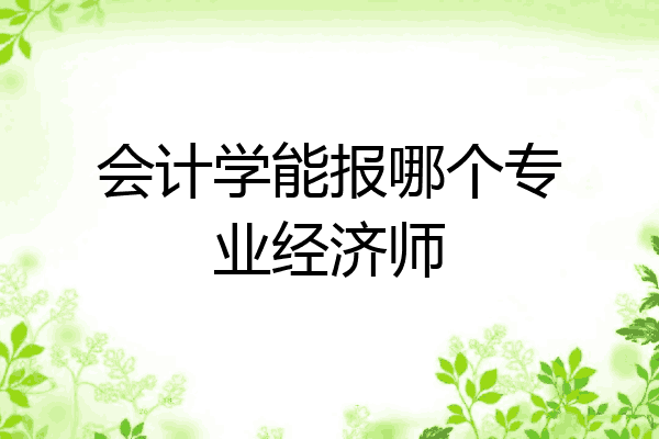 会计学能报哪个专业经济师