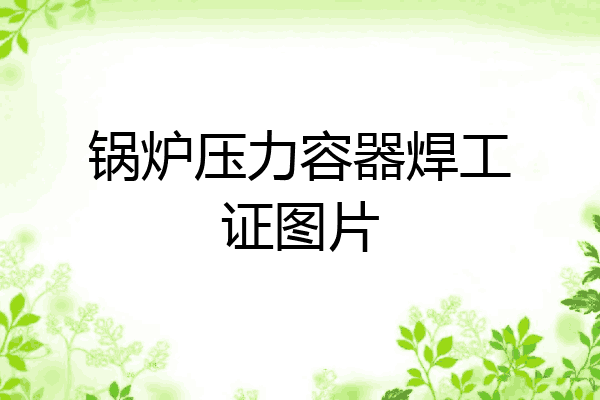 锅炉压力容器焊工证图片