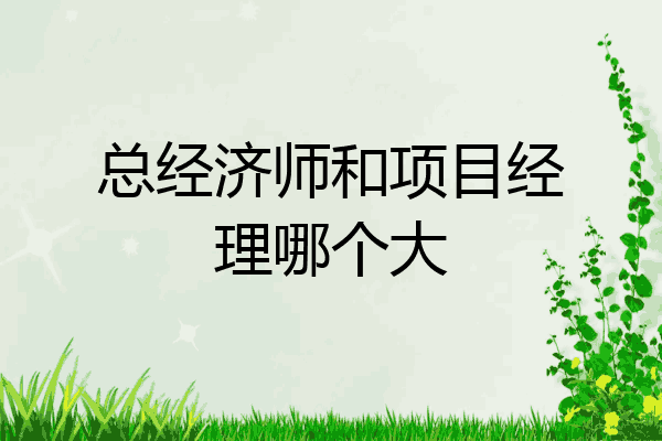 总经济师和项目经理哪个大