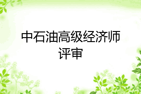 中石油高级经济师评审