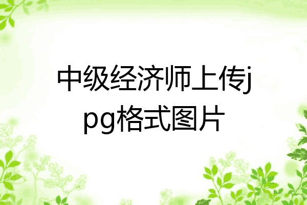中级经济师上传jpg格式图片