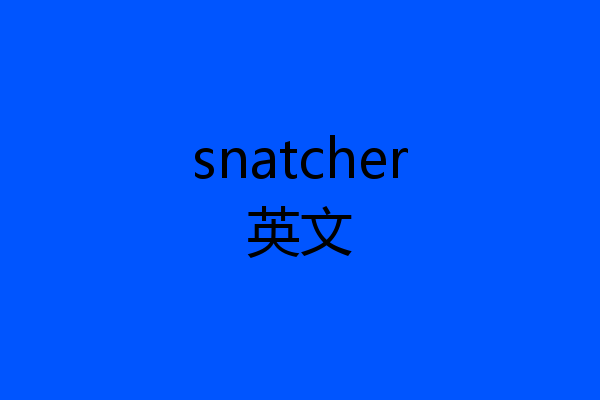 snatcher英文