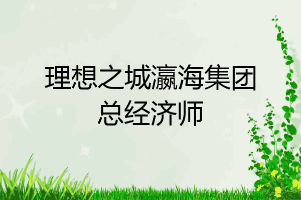 理想之城瀛海集团总经济师
