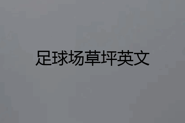 足球场草坪英文