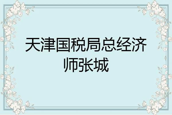 天津国税局总经济师张城