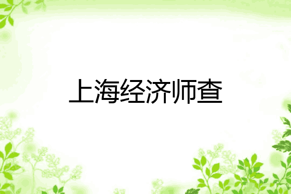 上海经济师查