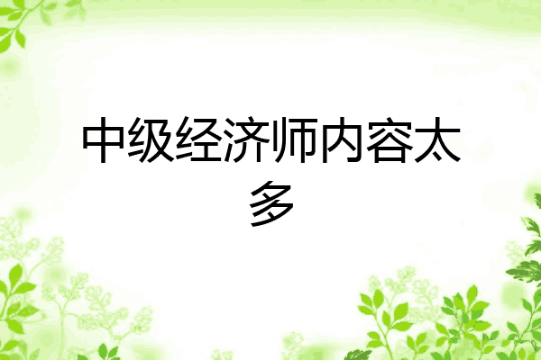 中级经济师内容太多