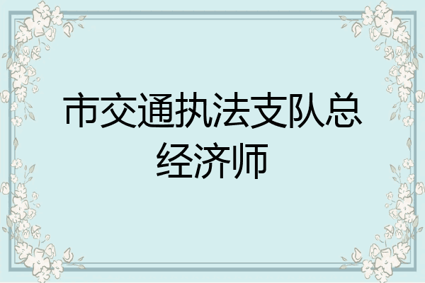 市交通执法支队总经济师