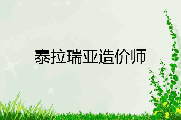 泰拉瑞亚造价师