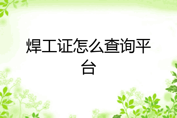 焊工证怎么查询平台