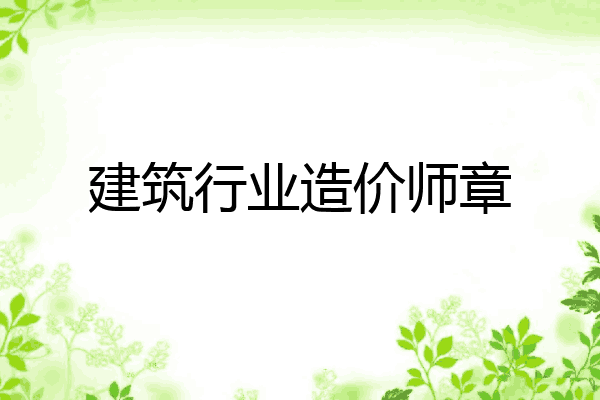 建筑行业造价师章