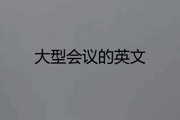 大型会议的英文