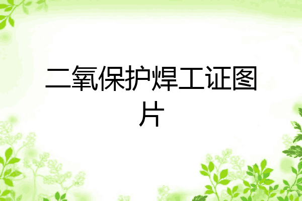 二氧保护焊工证图片