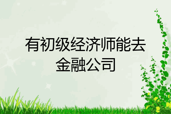 有初级经济师能去金融公司