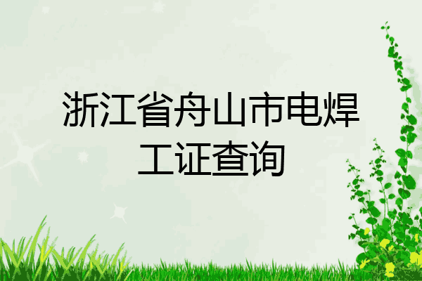 浙江省舟山市电焊工证查询