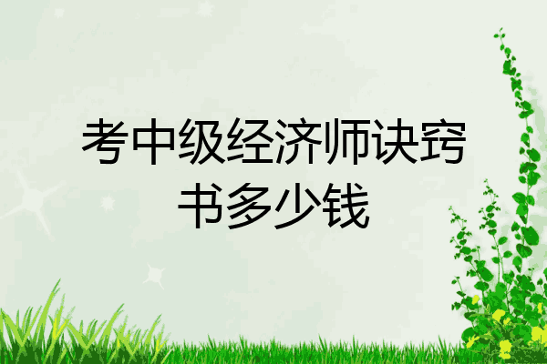 考中级经济师诀窍书多少钱
