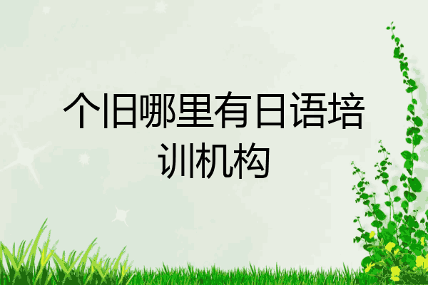 个旧哪里有日语培训机构