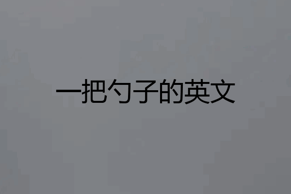 一把勺子的英文