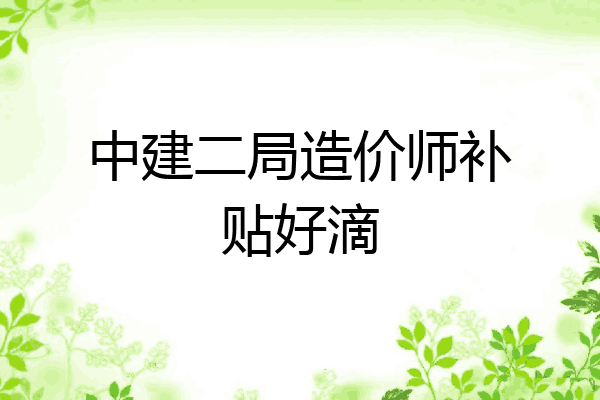 中建二局造价师补贴好滴