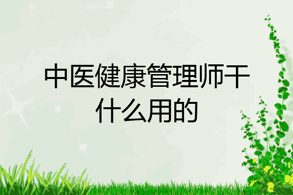 中医健康管理师干什么用的
