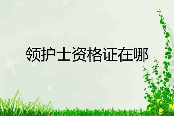 领护士资格证在哪