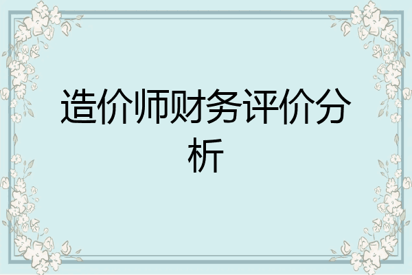 造价师财务评价分析