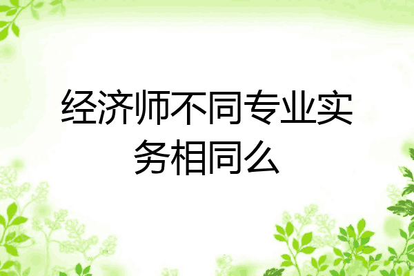 经济师不同专业实务相同么
