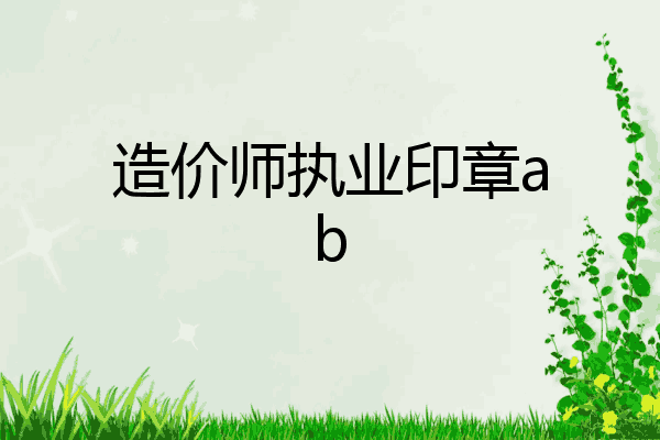 造价师执业印章ab