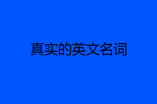 真实的英文名词