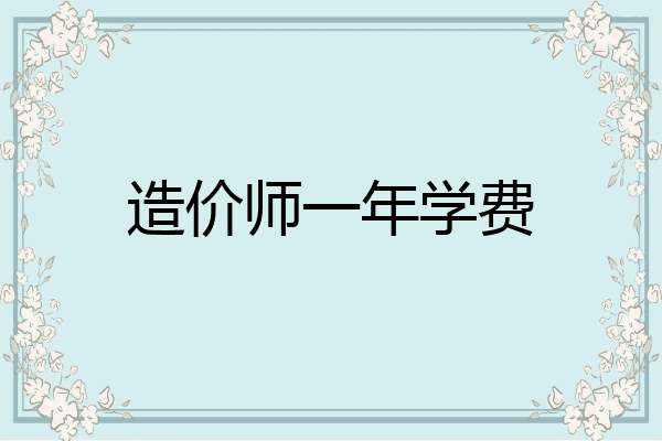 造价师一年学费