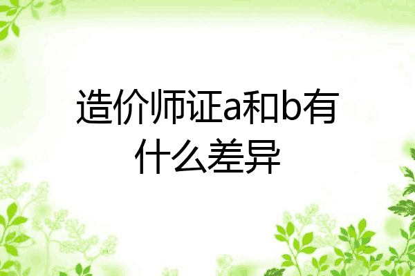造价师证a和b有什么差异