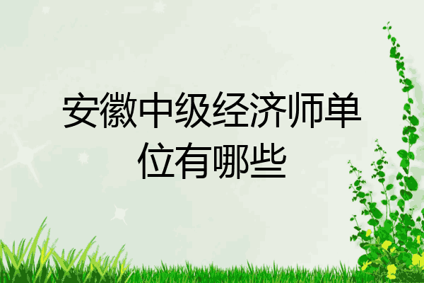 安徽中级经济师单位有哪些