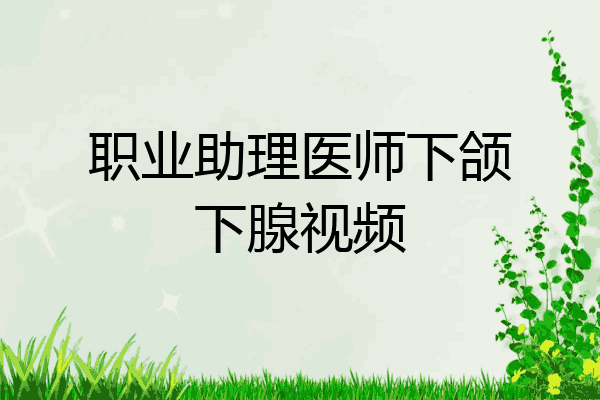 职业助理医师下颌下腺视频