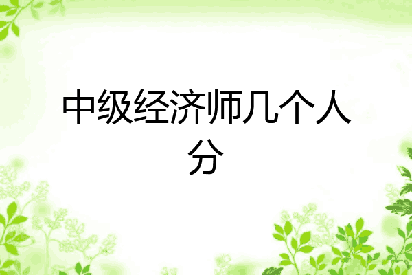 中级经济师几个人分