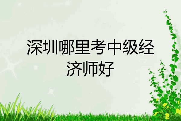 深圳哪里考中级经济师好