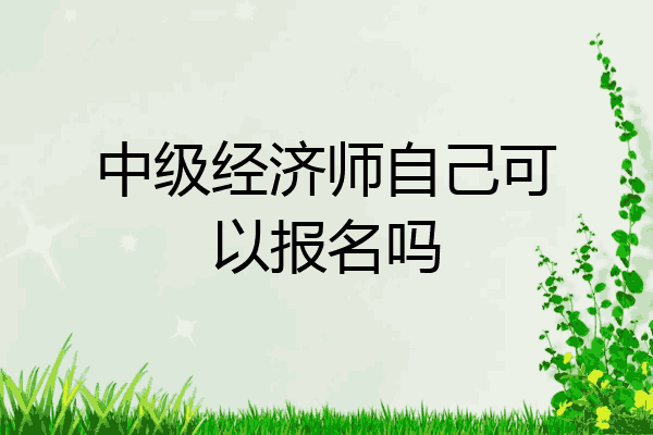 中级经济师自己可以报名吗