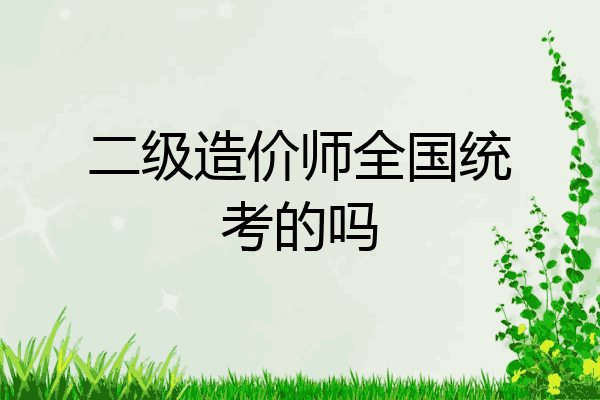二级造价师全国统考的吗