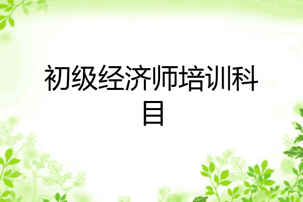 初级经济师培训科目