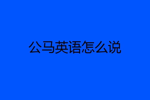 公马英语怎么说