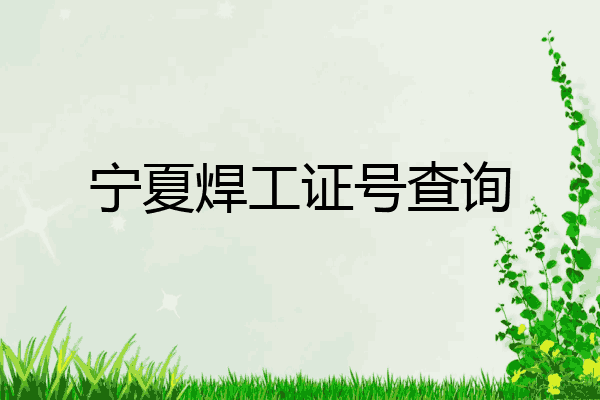 宁夏焊工证号查询