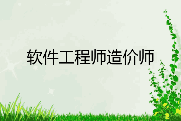 软件工程师造价师